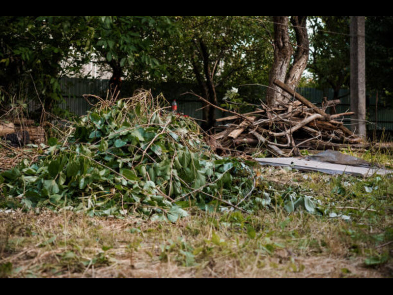 Truck loaded with yard waste and debris after a San Diego cleanup
